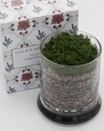 Breath of Clarity Bath Salt