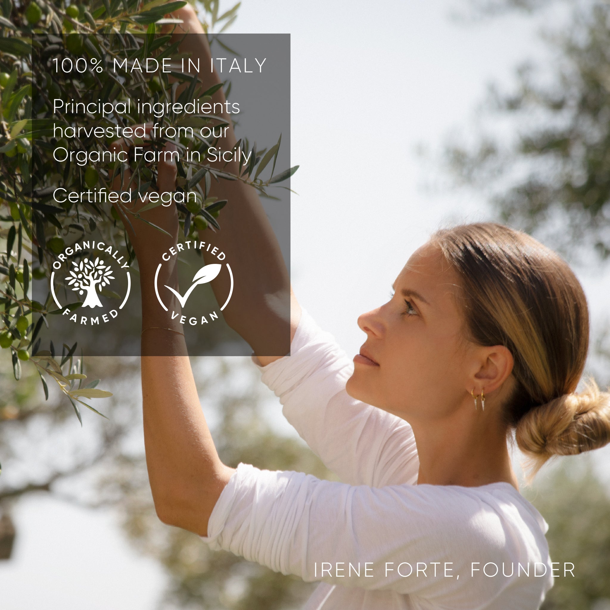 Olive Eye Cream - With Penta-Phyto Complex