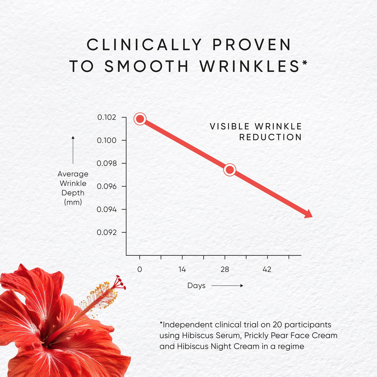 Hibiscus Serum with Myoxinol™