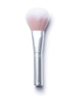 Skin2Skin Powder Blush Brush