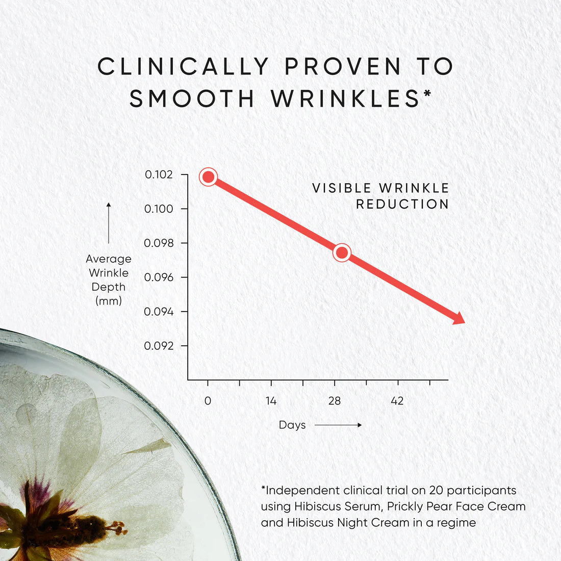 Hibiscus Rejuvenating Night Cream with Myoxinol™