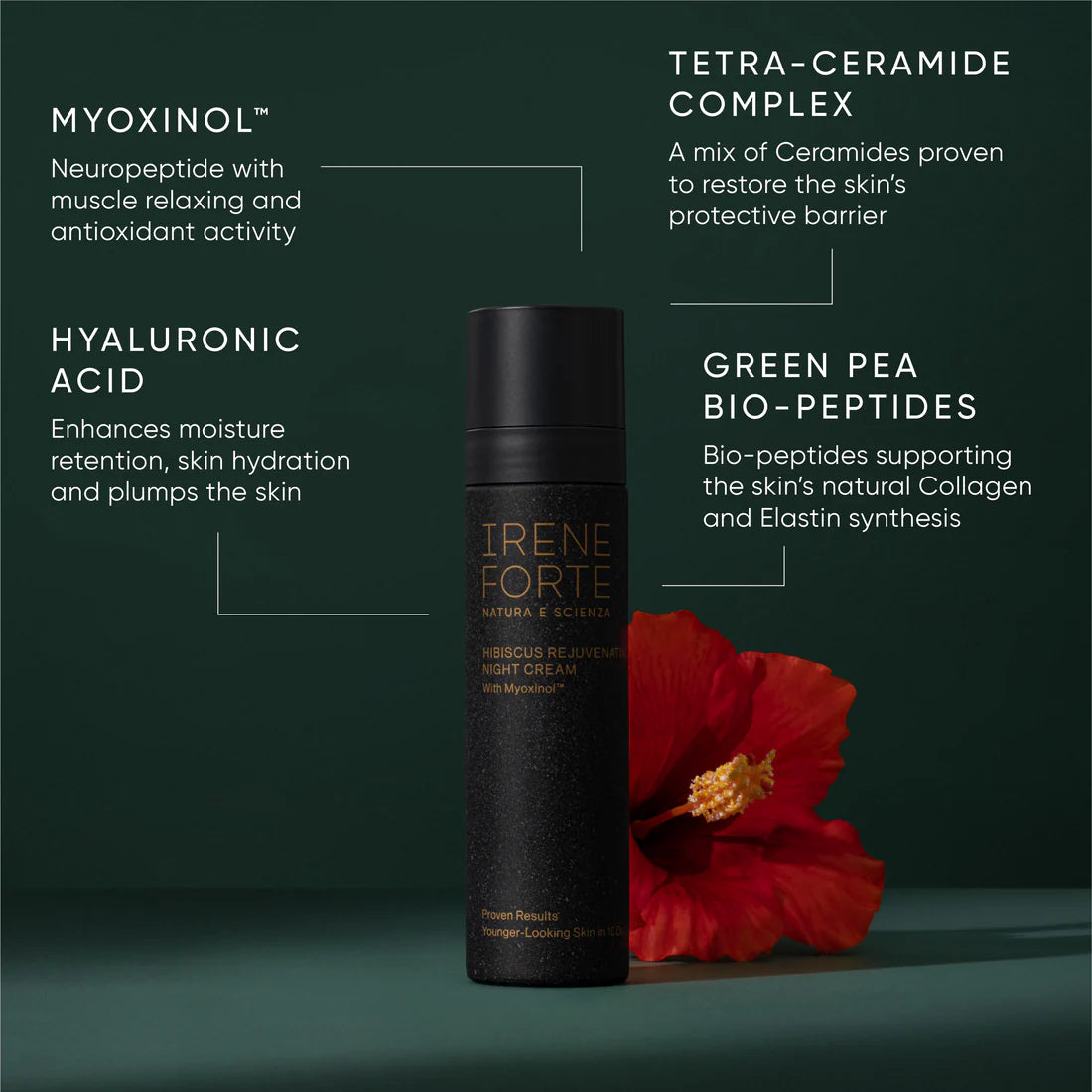 Hibiscus Rejuvenating Night Cream with Myoxinol™