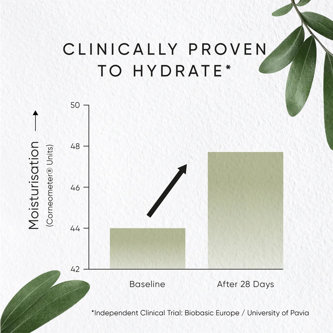 Olive Hydrating Eye Cream Refill - With Penta-Phyto Complex