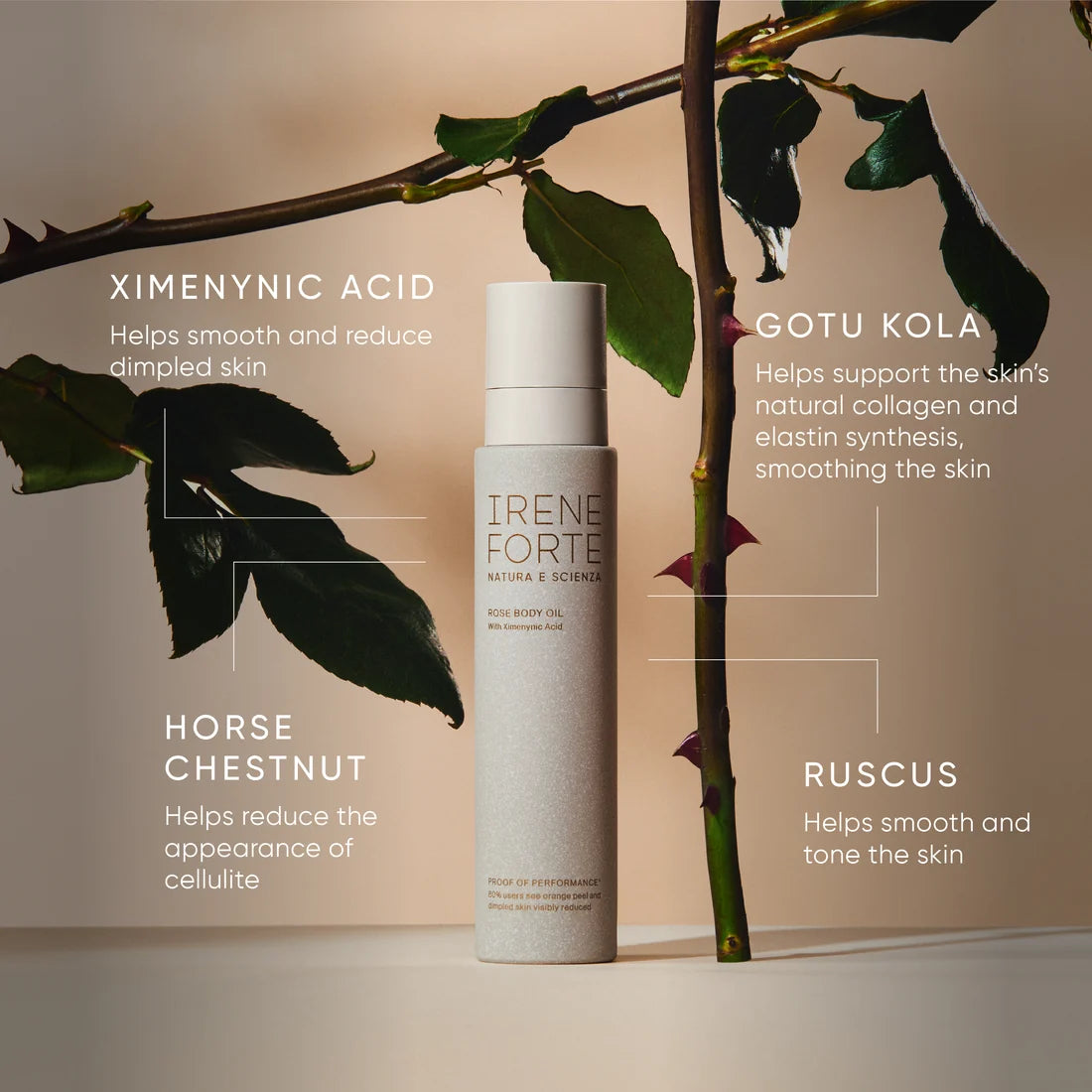 Rose Body Oil - Körperöl mit Ximeninsäure