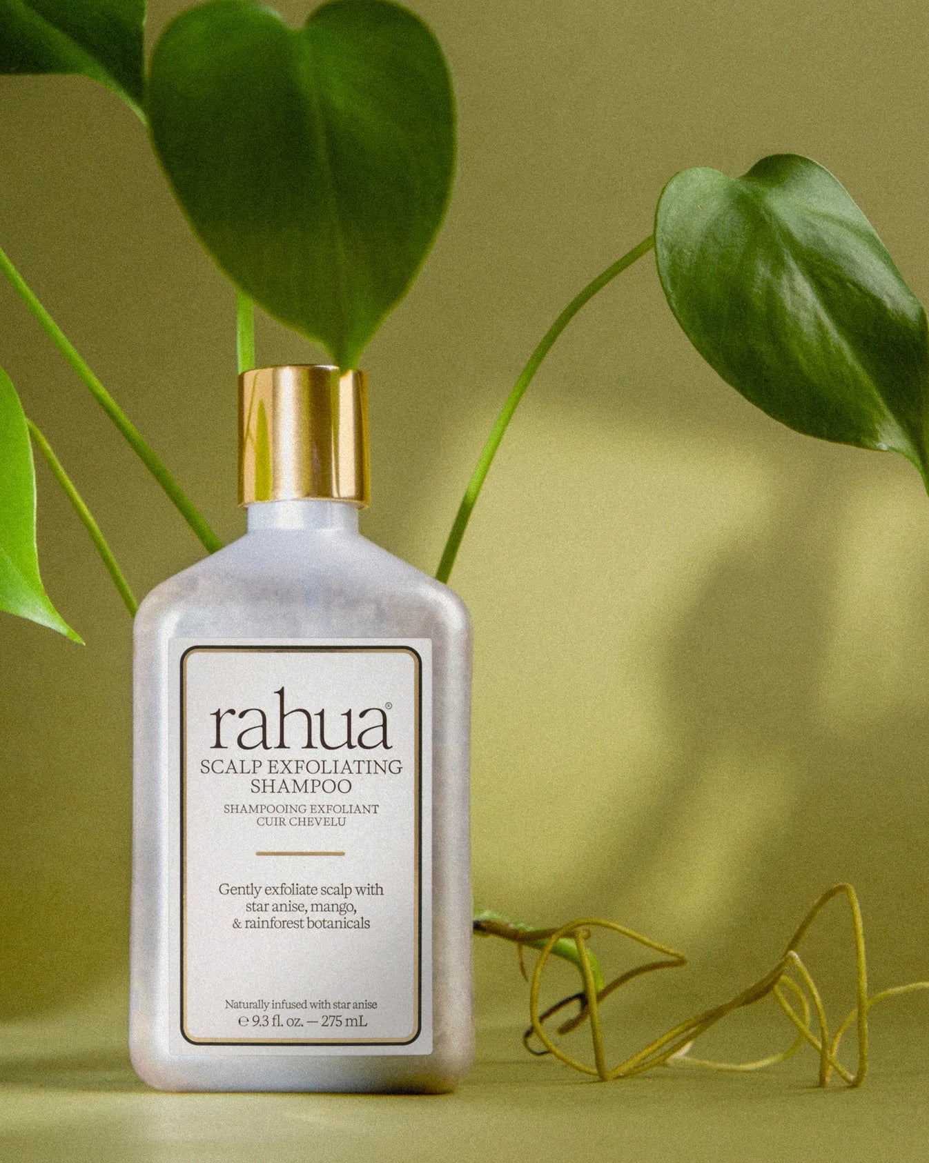 Scalp Exfoliating Shampoo