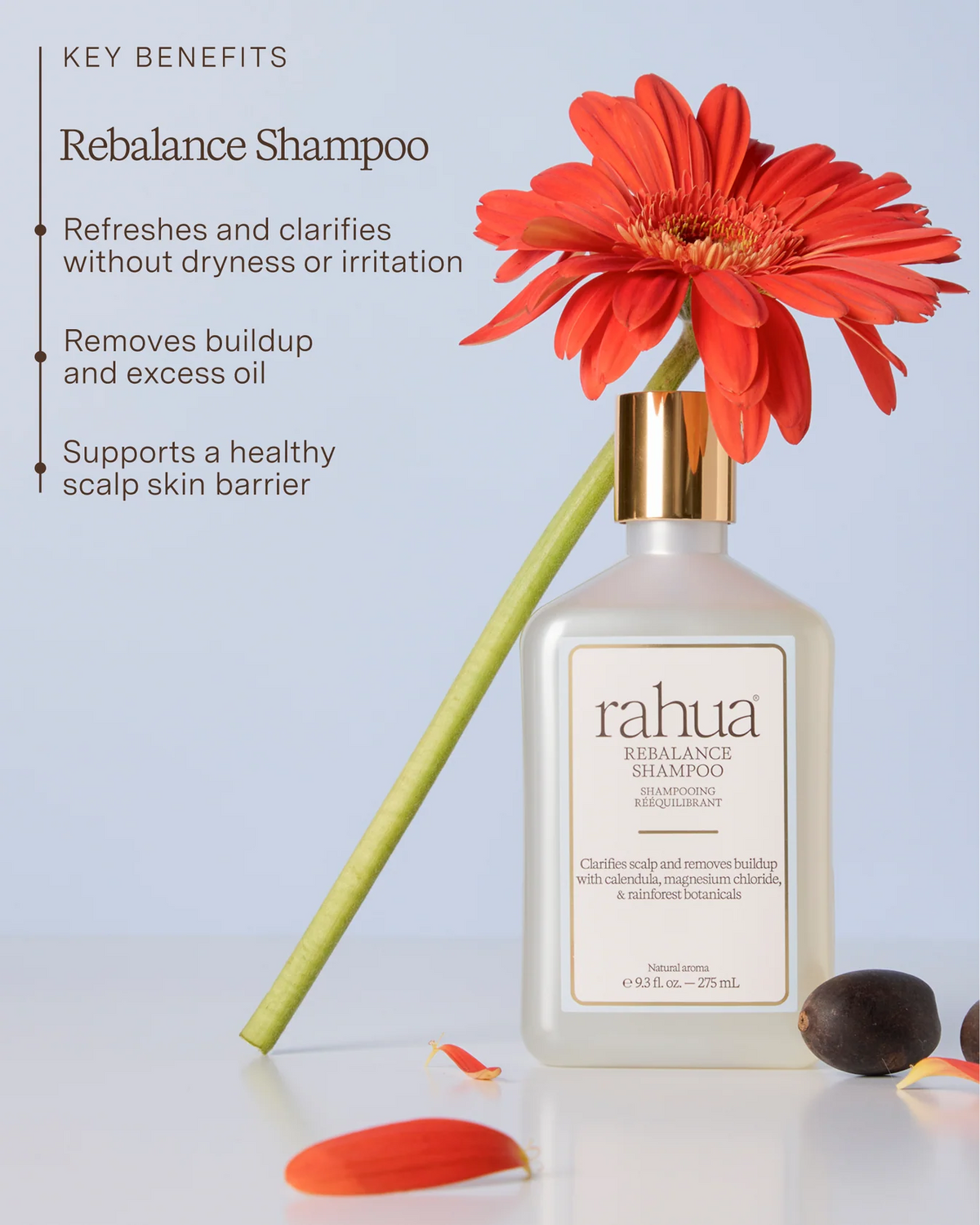 RAHUA Rebalance Shampoo – Klärendes Shampoo für eine ausgeglichene Kopfhaut