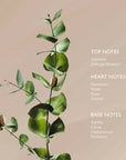 Pistachio Body Oil with Phytomelatonin